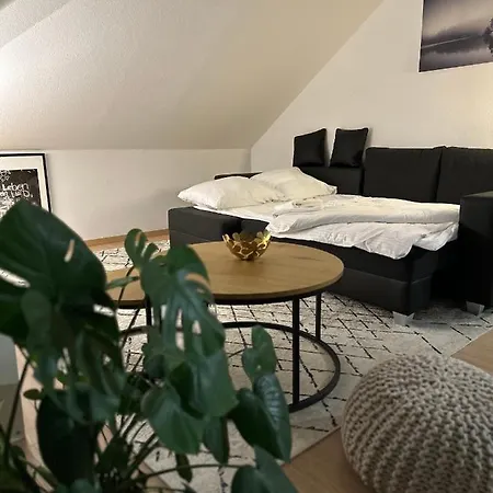 Oasis Appart - Wohnen Am Elbtal - Balkon - Netflix - Tiefgarage Дрезден Экстерьер фото